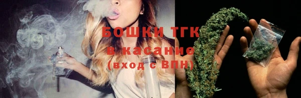 гашик Богородск