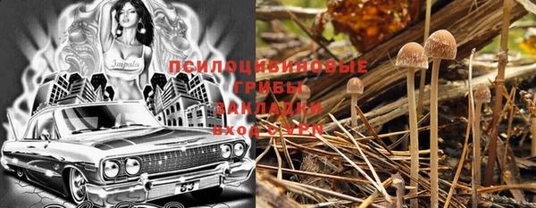 прущая мука Белокуриха