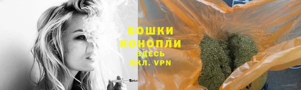 стаф Беломорск